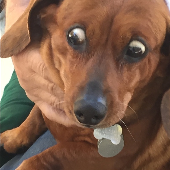 Meet your Posher, Al - Picture 1 of 1